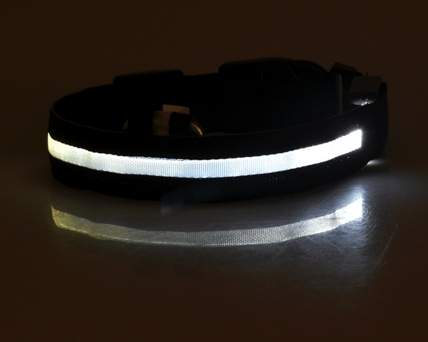 Luminous Glow-In-The-Dark Led Pet Collar: The Ultimate Night Safety Accessory For Dogs And Cats