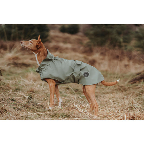 Dog Coat